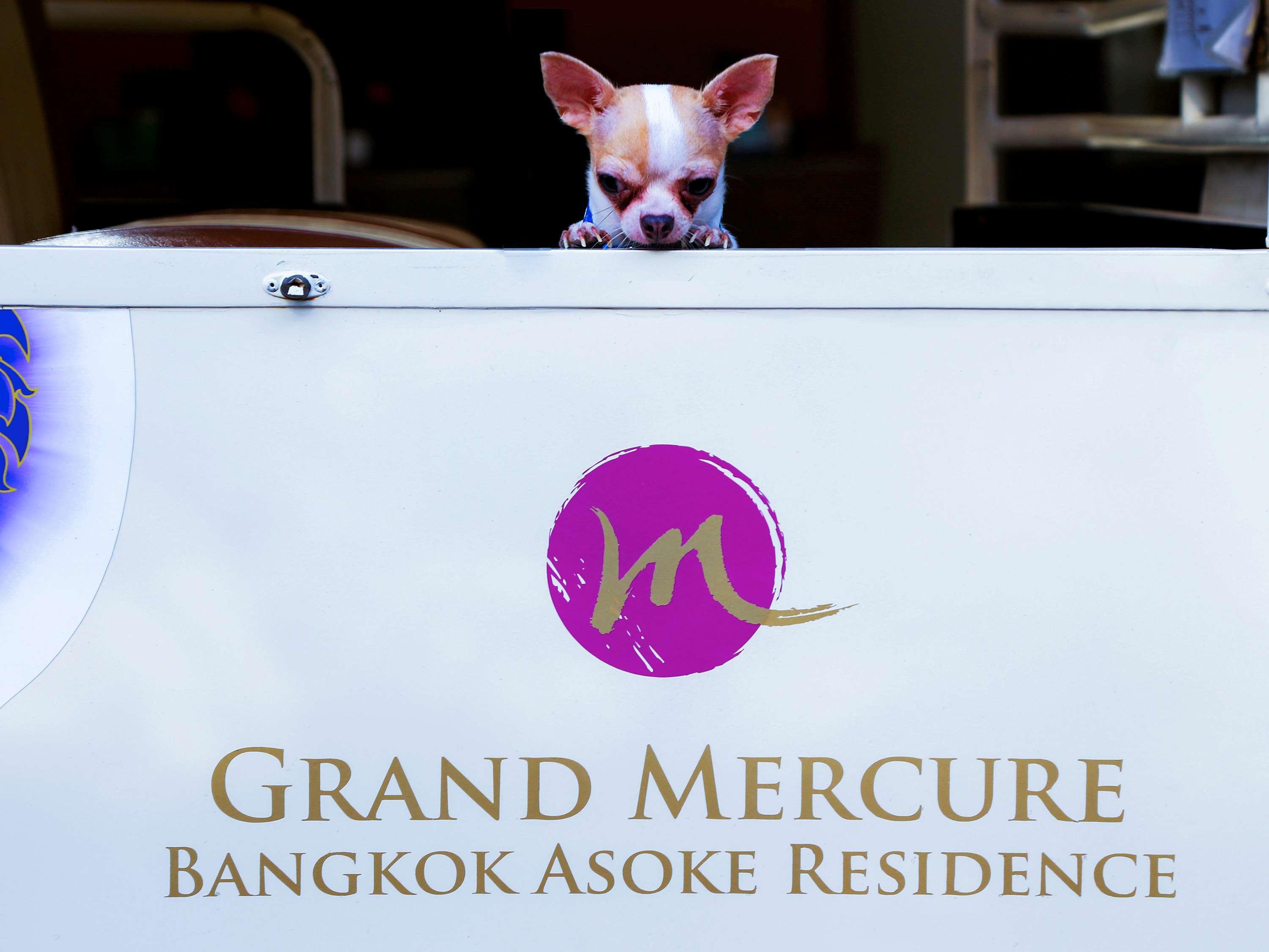 Grand Mercure Bangkok Asoke Residence Exterior foto